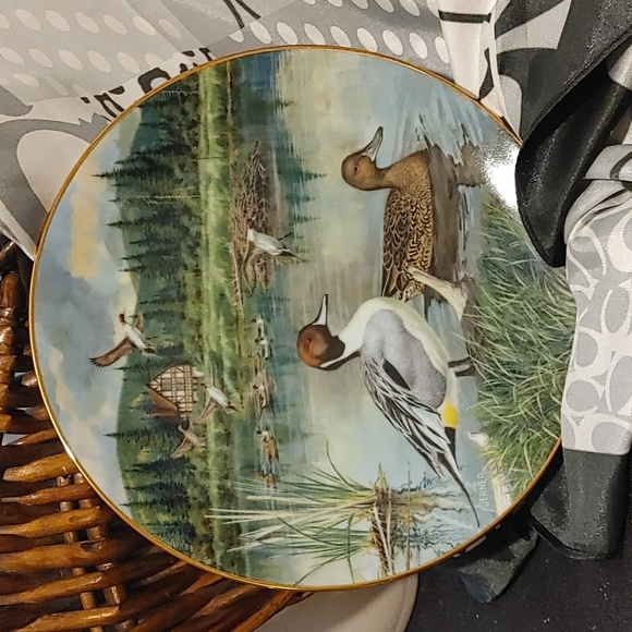 Bradex Collector's Plates - Picture 6 of 7